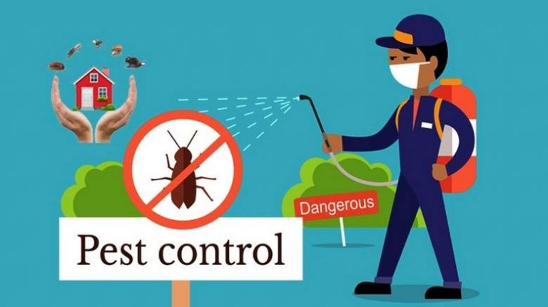 Create A Healthy Environment With Pest Control