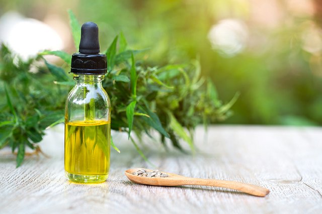 Investigating Popular Hemp Oil Products & Their Effects On Human Health