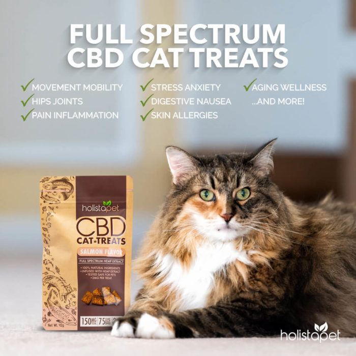 What Is CBD Oil And How Does It Benefit Your Pets?