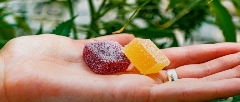 Exploring the Benefits of Legal Delta 9 Gummies for Nausea Relief